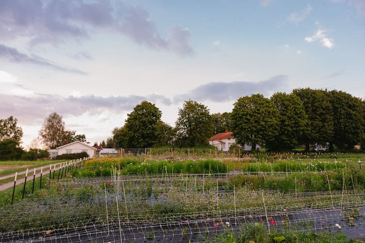 Wildflower Farm AB