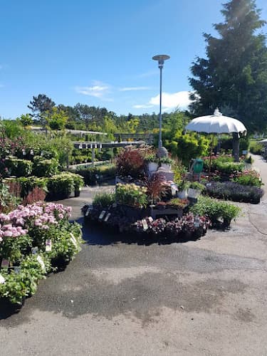 Nilssons Plantskola