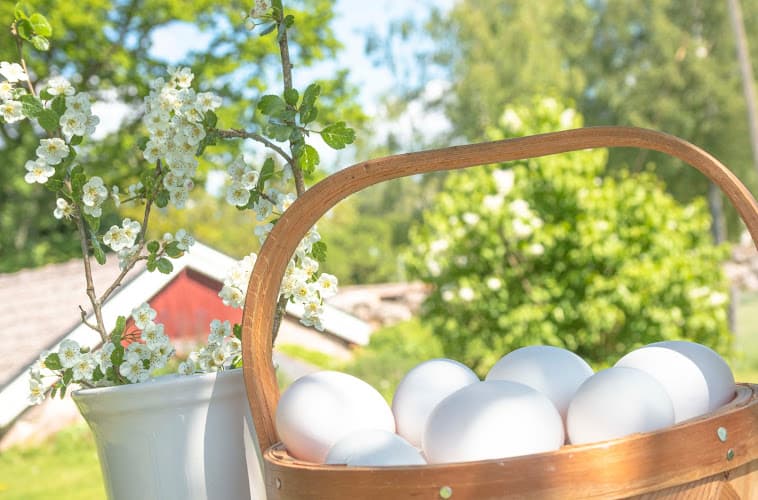 Eco Care Gårdsbutik & Relax