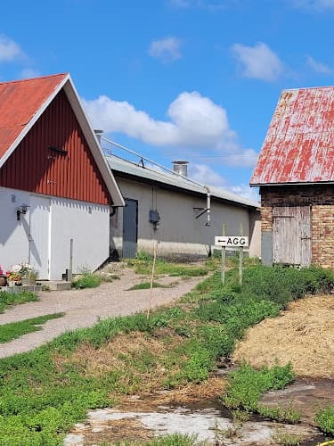 Idoffsson Ägg och potatis / Hille i Laholm AB