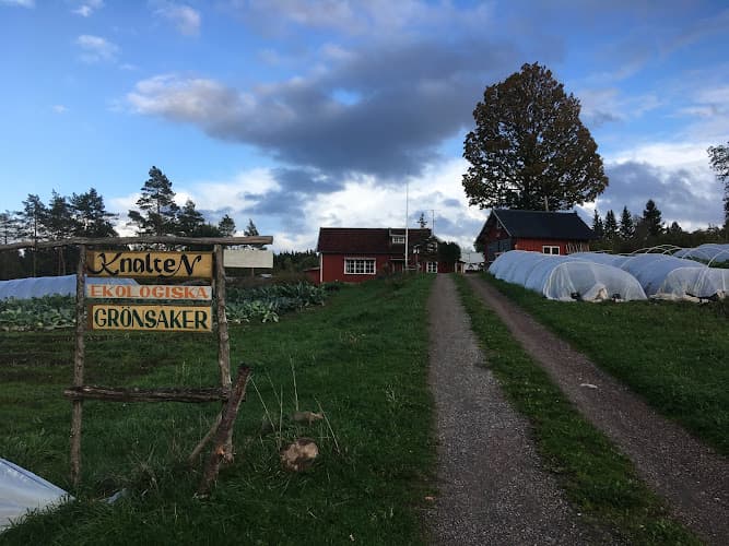 Knalten Ekologiska Grönsaker