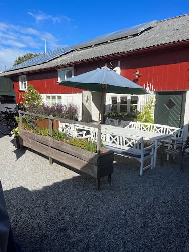 Rovor och rum