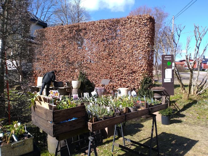 Linudden Trädgård