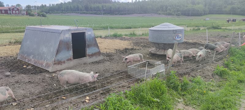 Norränge Lantbruk