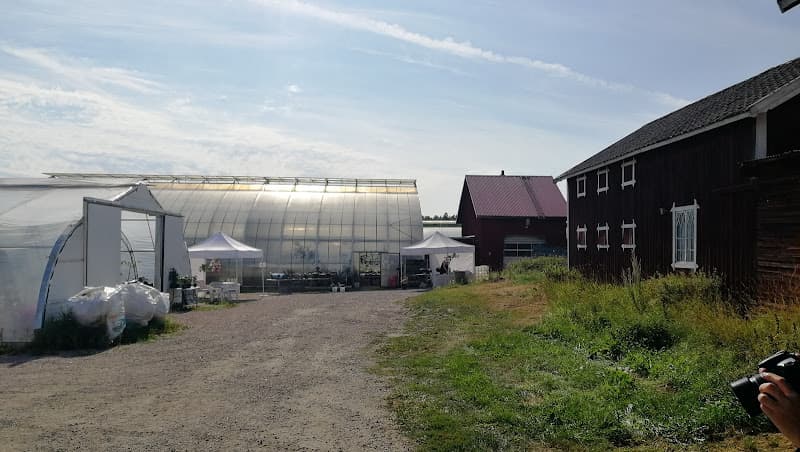 Sörgården grönt