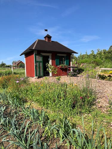 Kulturodling