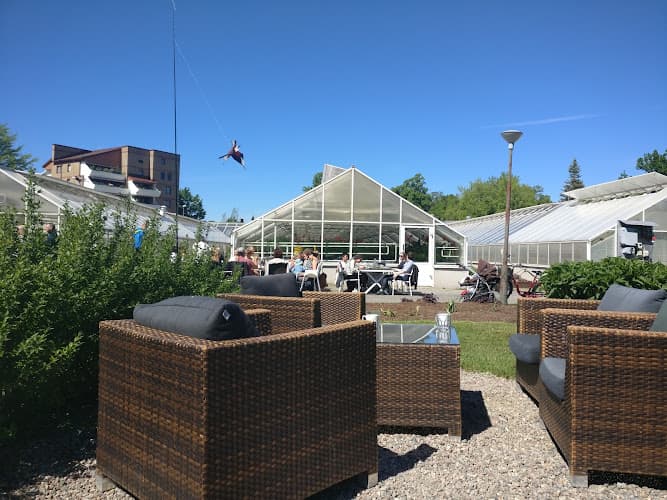 Stadsträdgårdens Café & Restaurang