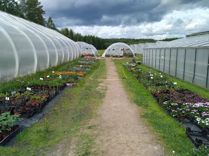Gustafsängs Trädgård