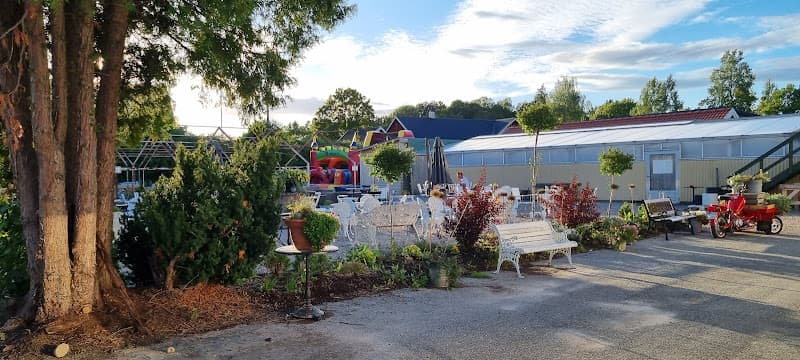 Ebbas Trädgård