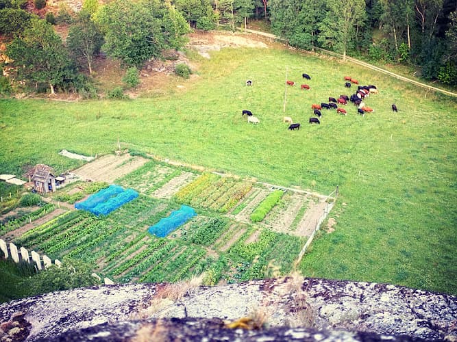 Bjällansås gård