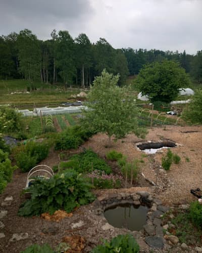 Lillegård Fårfarm