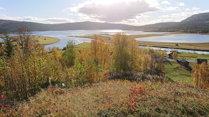 Fjällvilt AB