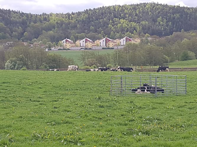 Kåhögs Gårdsbutik