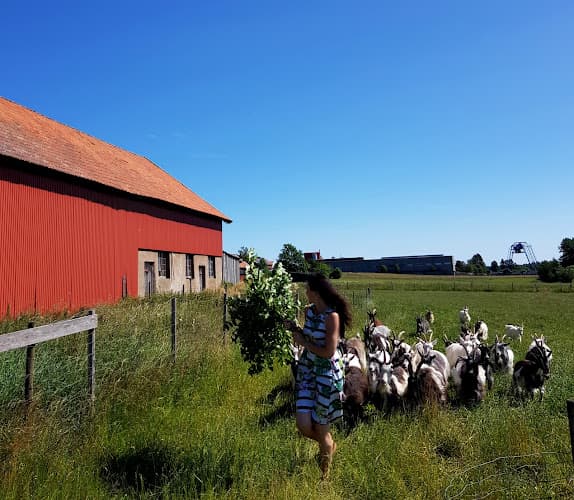 Skattegårdens Lantost