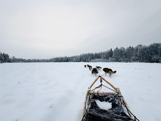 Highyard sleddogs
