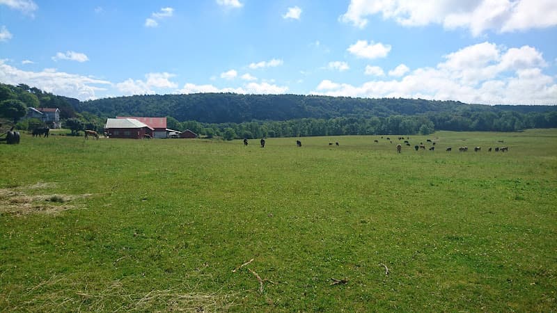 Sörbo Gård HB