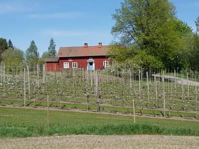 Frimansgården Träd & Frukt