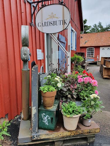 Sövde Musteri