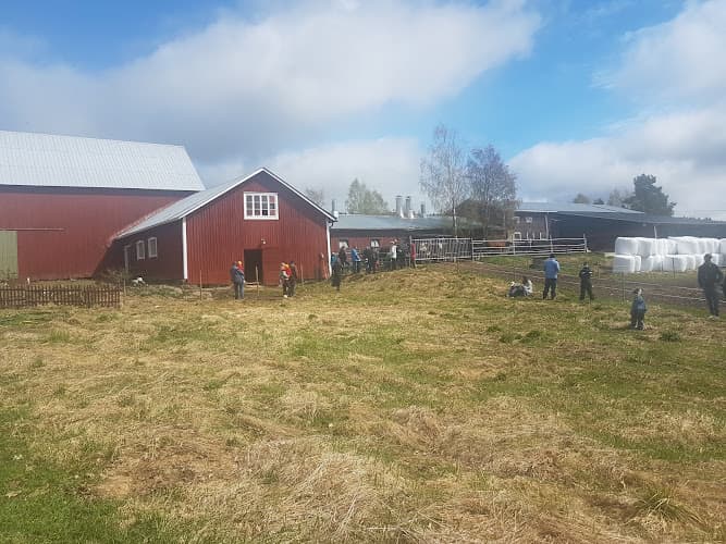 Bergmark Gård AB