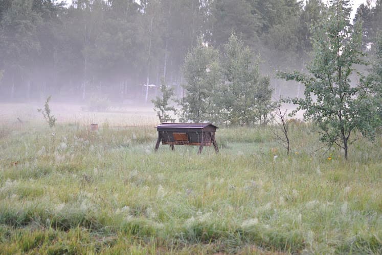 Säljans Bigård AB