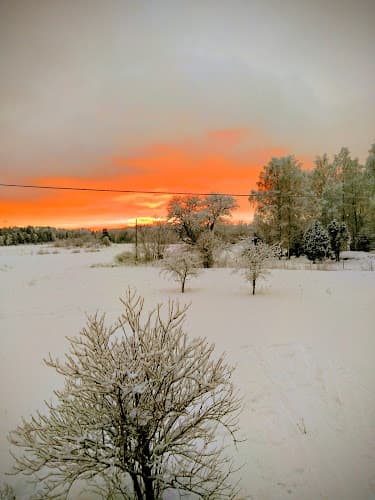 Senneby Trädgård