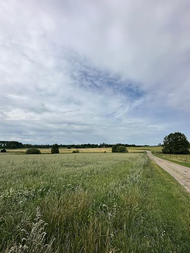 Sjöholms Gård