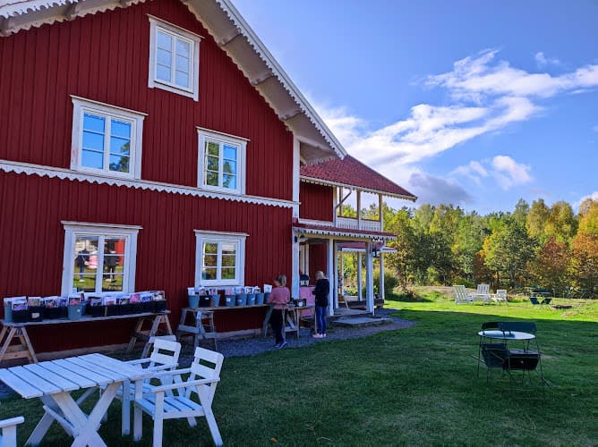 Mellingerum Blommor, självplock, kafé, hyra lokal i Småland.