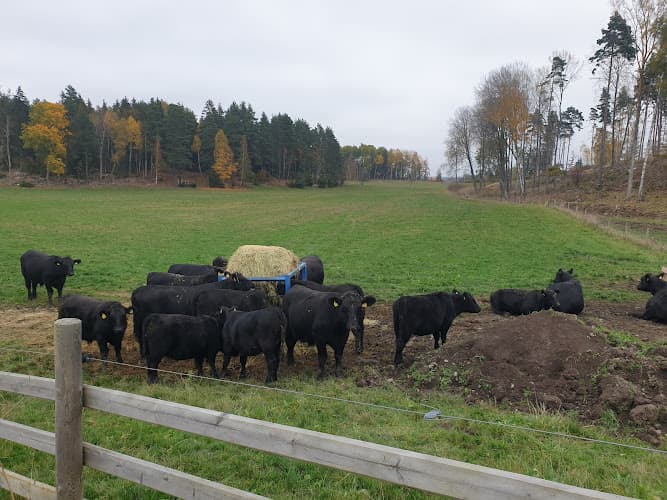 Grävelsta Gård AB