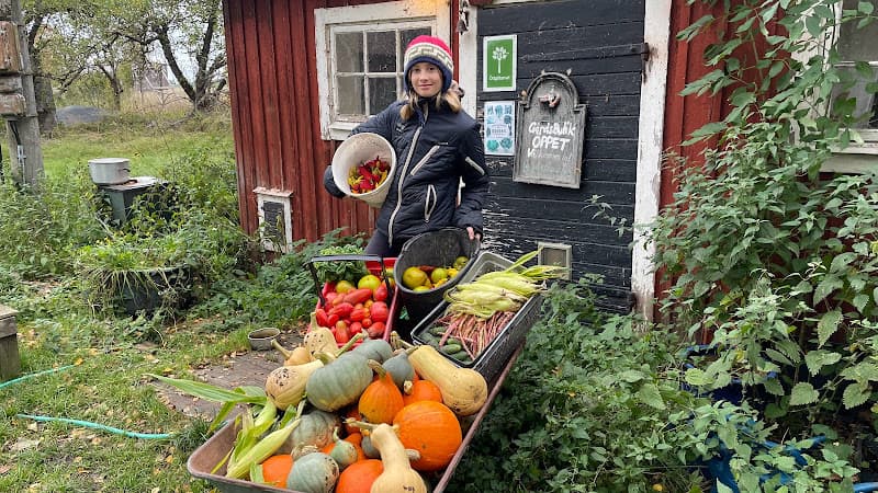 Tåkerns trädgård