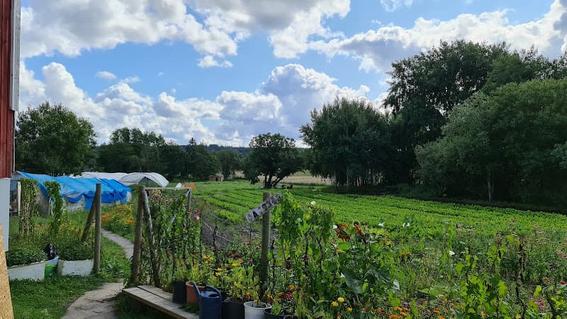 Alzoubifarm