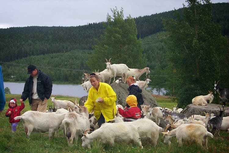 HB Gideå Get