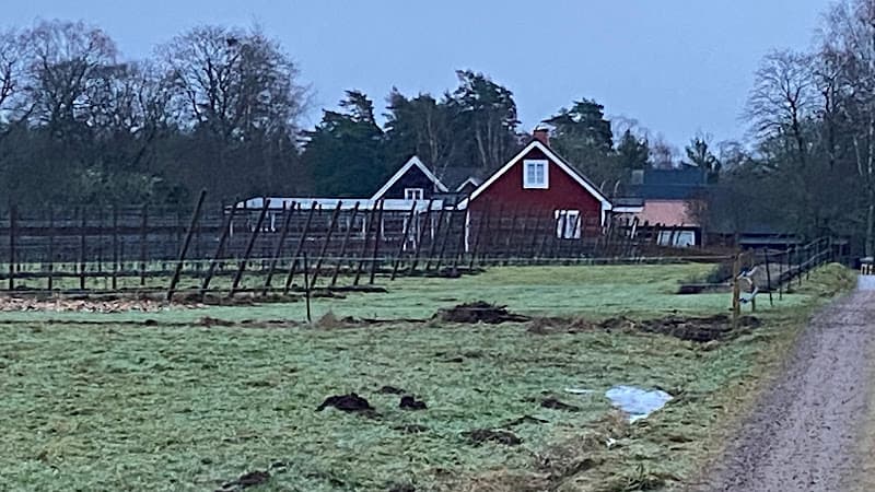Vittsjö Vingård