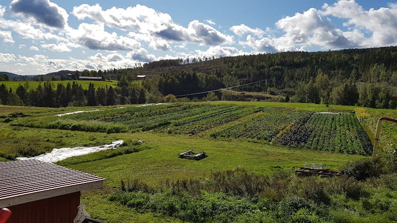 Gåltjärns Gård