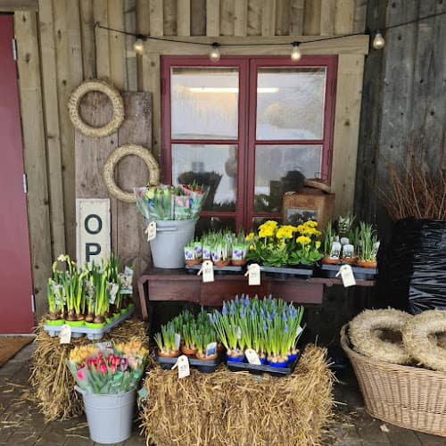 Svenshults Blommor & Sånt