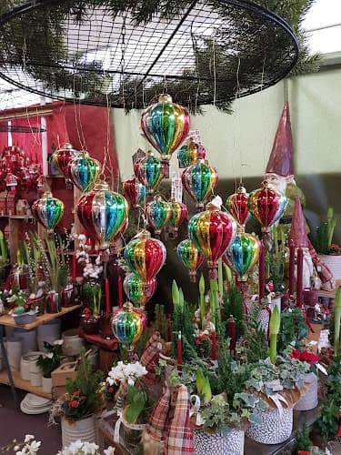 Rångedala Handelsträdgård & Blomsterhandel