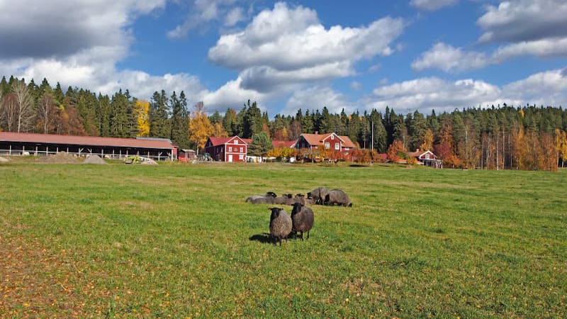Bäcktorps Gård