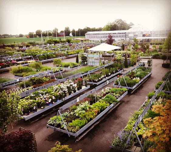 Solhaga Garden