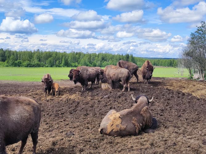 Södra Älgånäs Gård AB