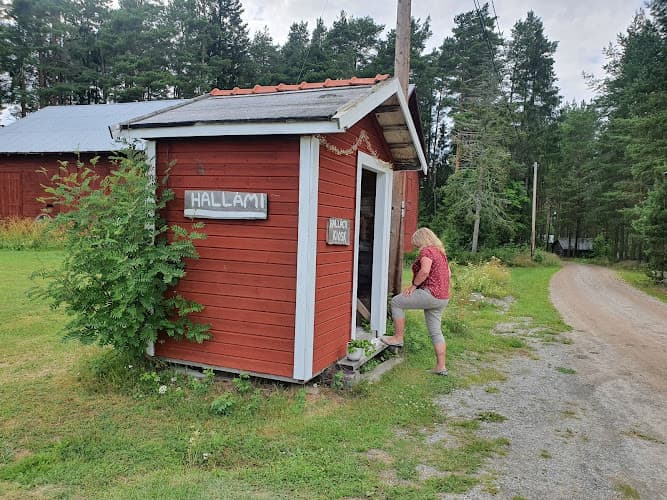 Hälsinge HallåMi