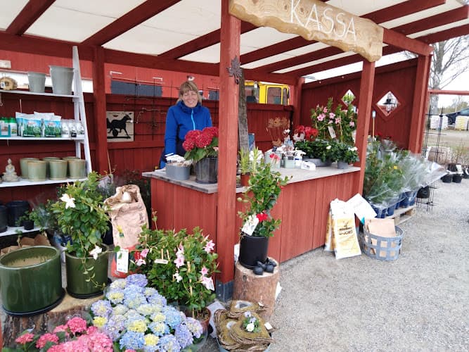 Maritas trädgård