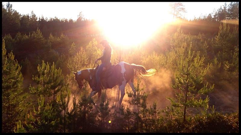 Our Little Farm Horseback Riding