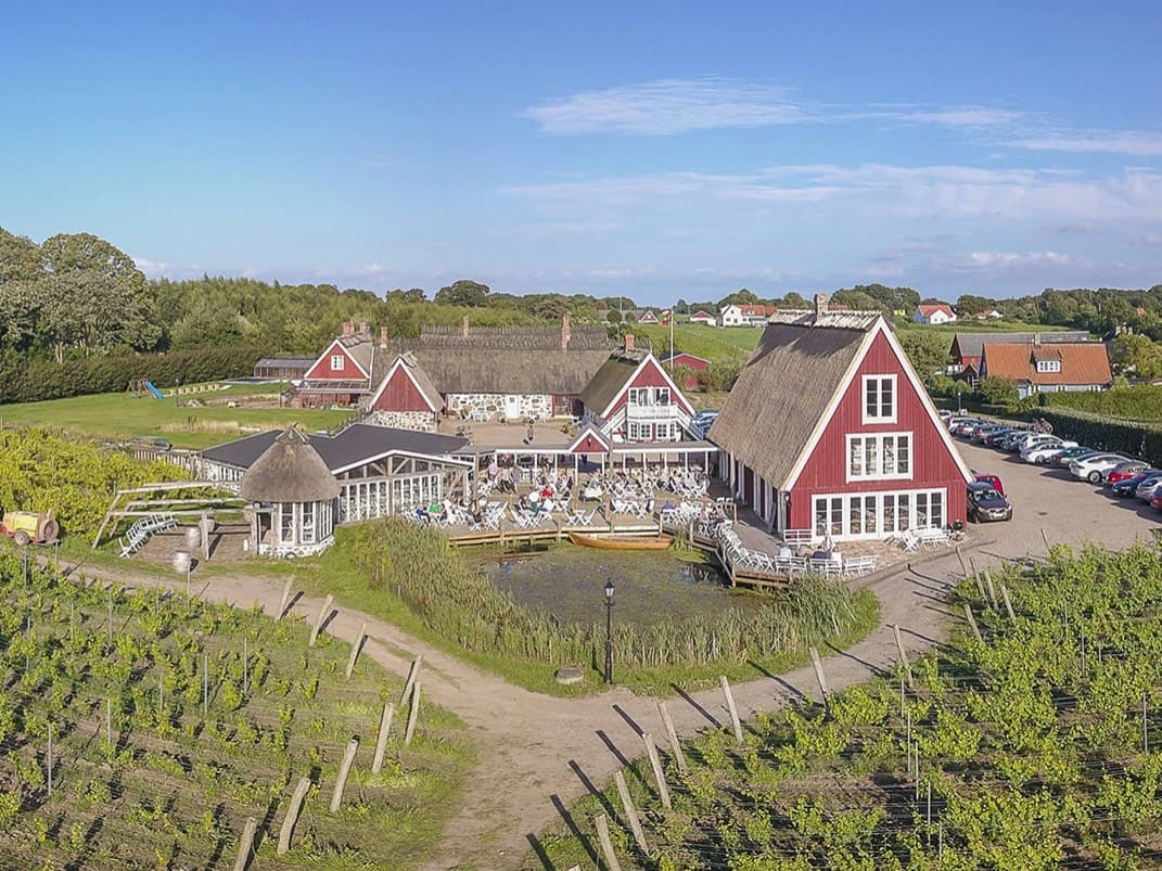 Arilds Vingård