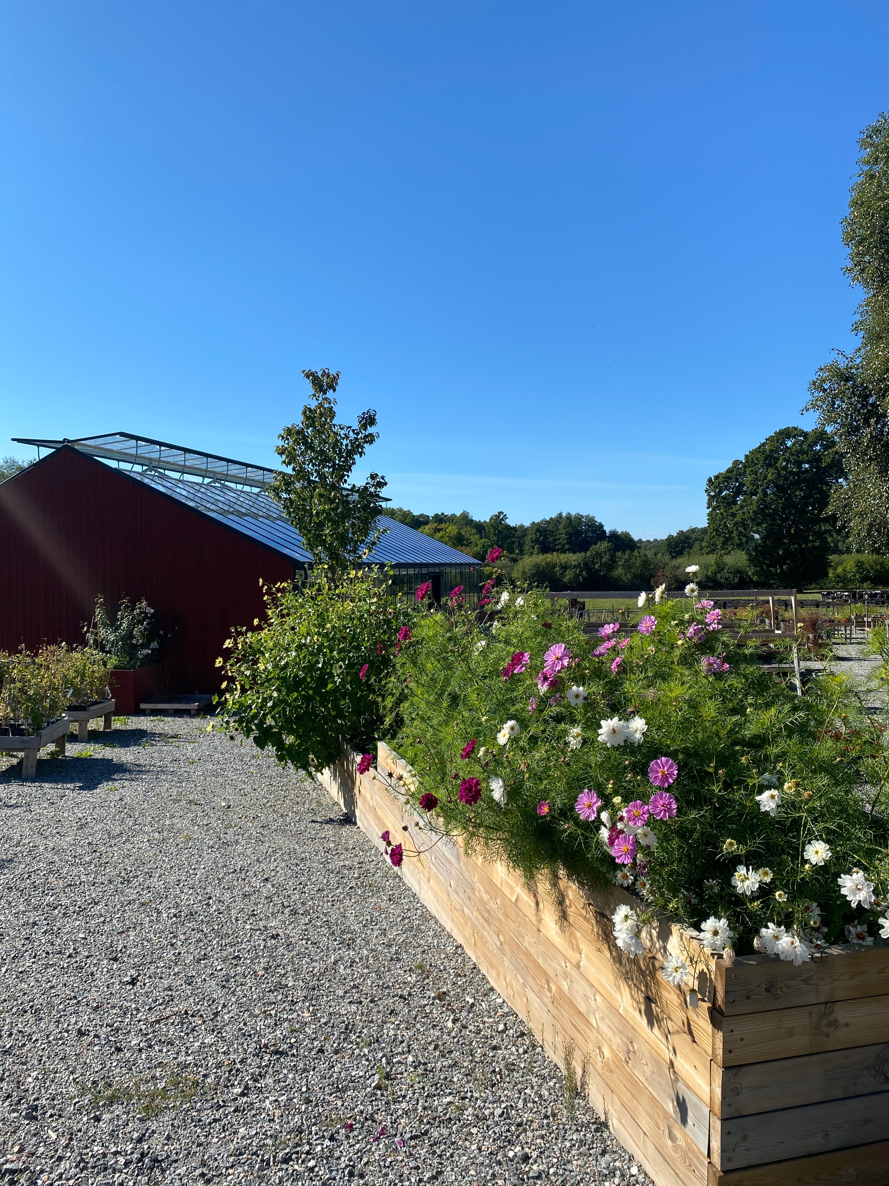 Gäddeholms trädgård