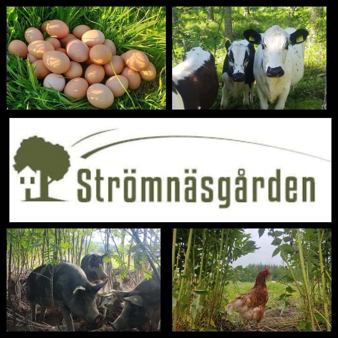 Strömnäsgården