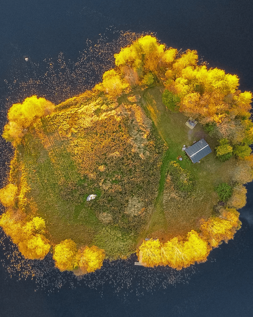 Aurora Isle