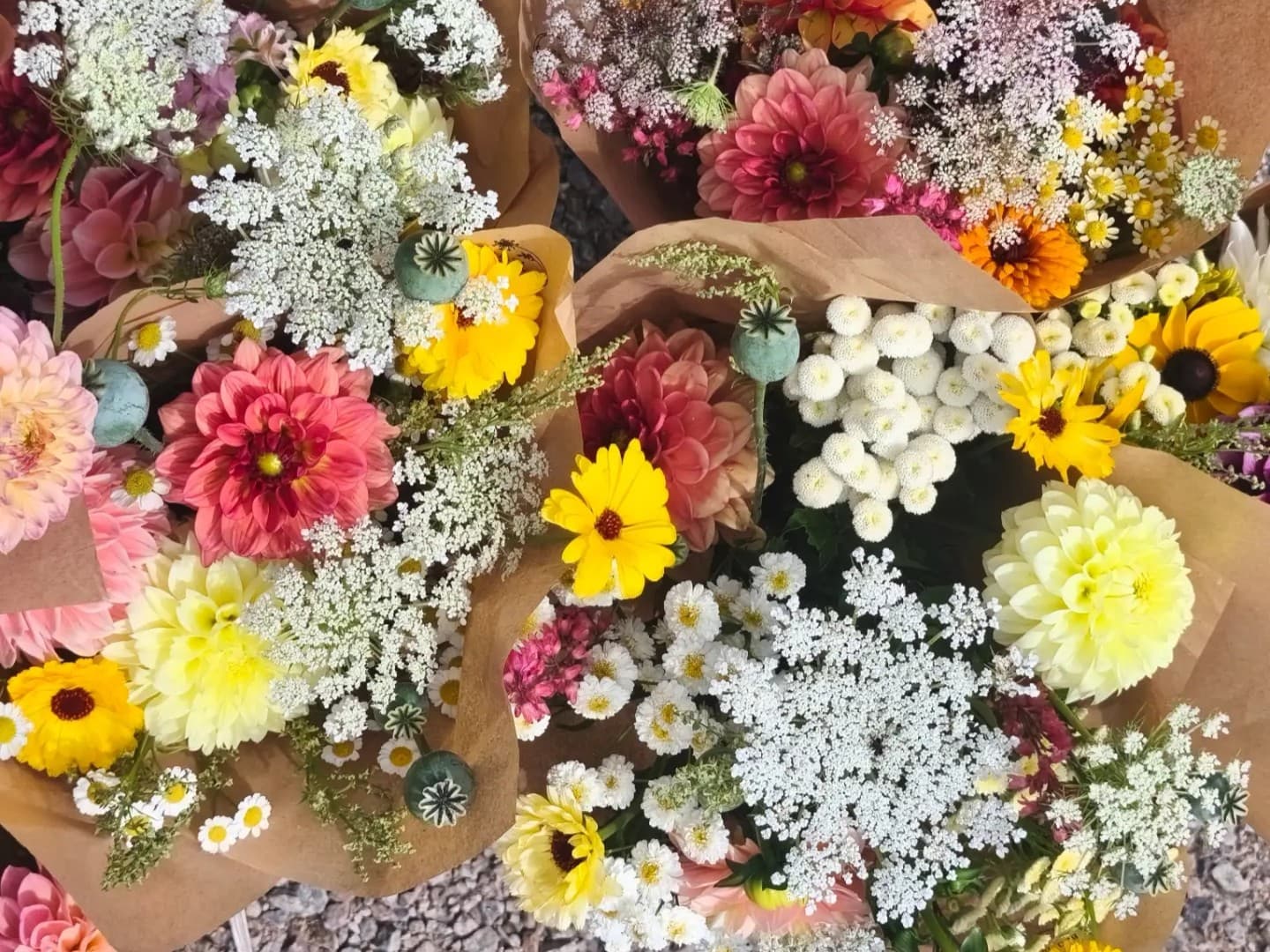Lilla Slättens Blomster