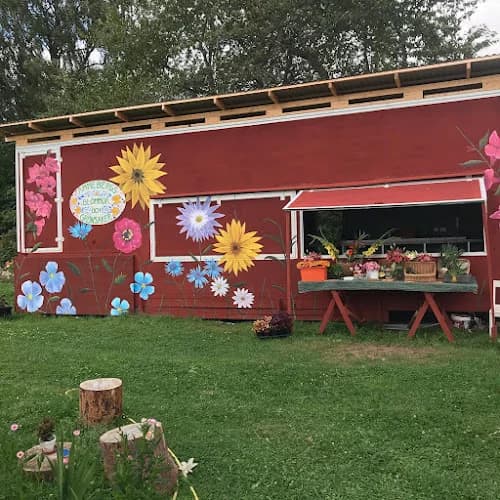 Åmmebergs Grönsaker