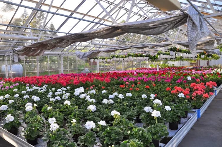 Åsbacka Trädgård / Sandströms Handelsträdgård