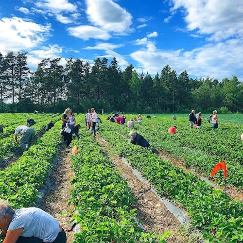 Bärgården Källunge AB