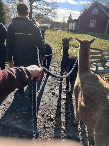 Bergby djur och lantcafe'